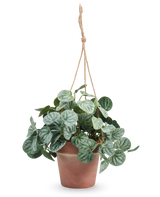 La hoja artificial de rugosa de 29 cm gris en maceta colgante tiene hojas verdes redondas estampadas y cuelga en una maceta con una cuerda color canela sobre un fondo blanco liso.