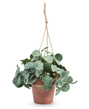 La hoja artificial de rugosa de 29 cm gris en maceta colgante tiene hojas verdes redondas estampadas y cuelga en una maceta con una cuerda color canela sobre un fondo blanco liso.