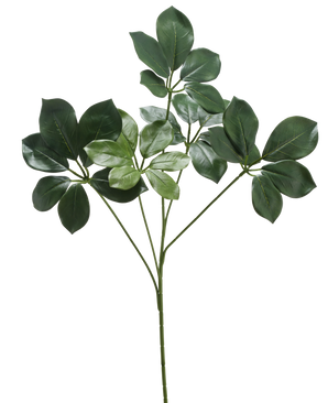 La Rama Artificial Schefflera 50 cm FR tiene un solo tallo con varios haces de hojas anchas de color verde oscuro y algunas hojas de color verde más claro, sobre un fondo blanco.