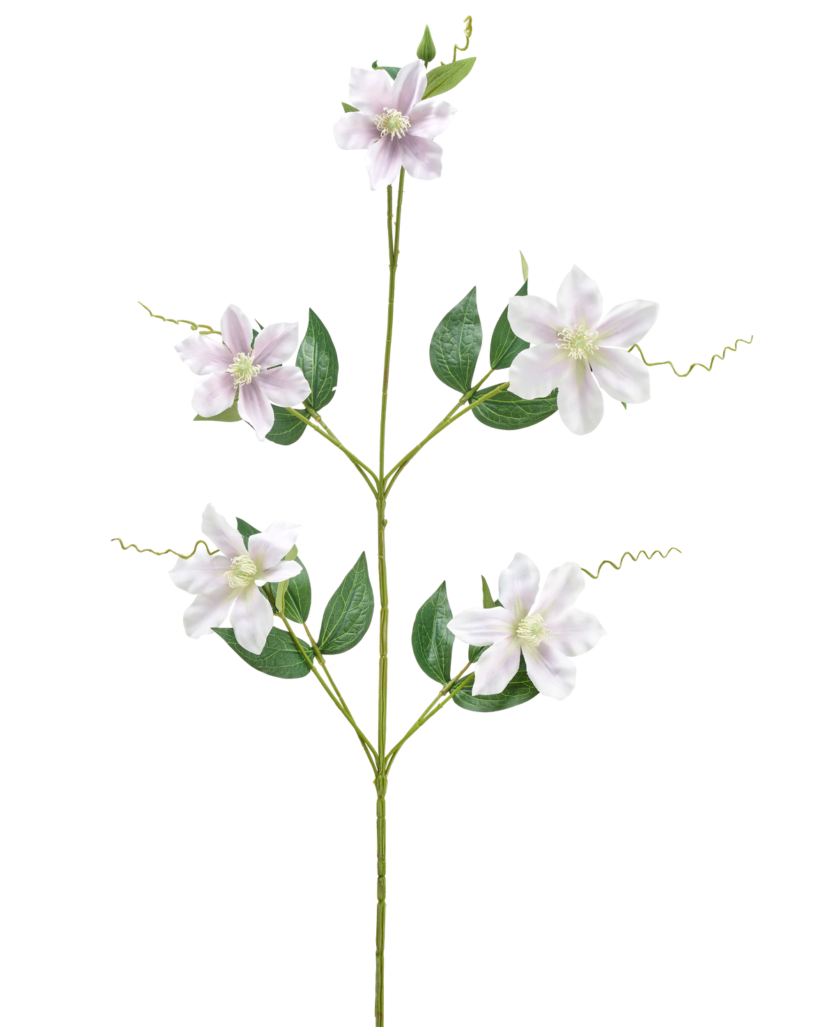 La Flor Artificial Celematis 78 cm blanca tiene un único tallo verde con cinco flores blancas en forma de estrella, múltiples hojas verdes dispuestas simétricamente y zarcillos rizados. El fondo es completamente blanco.