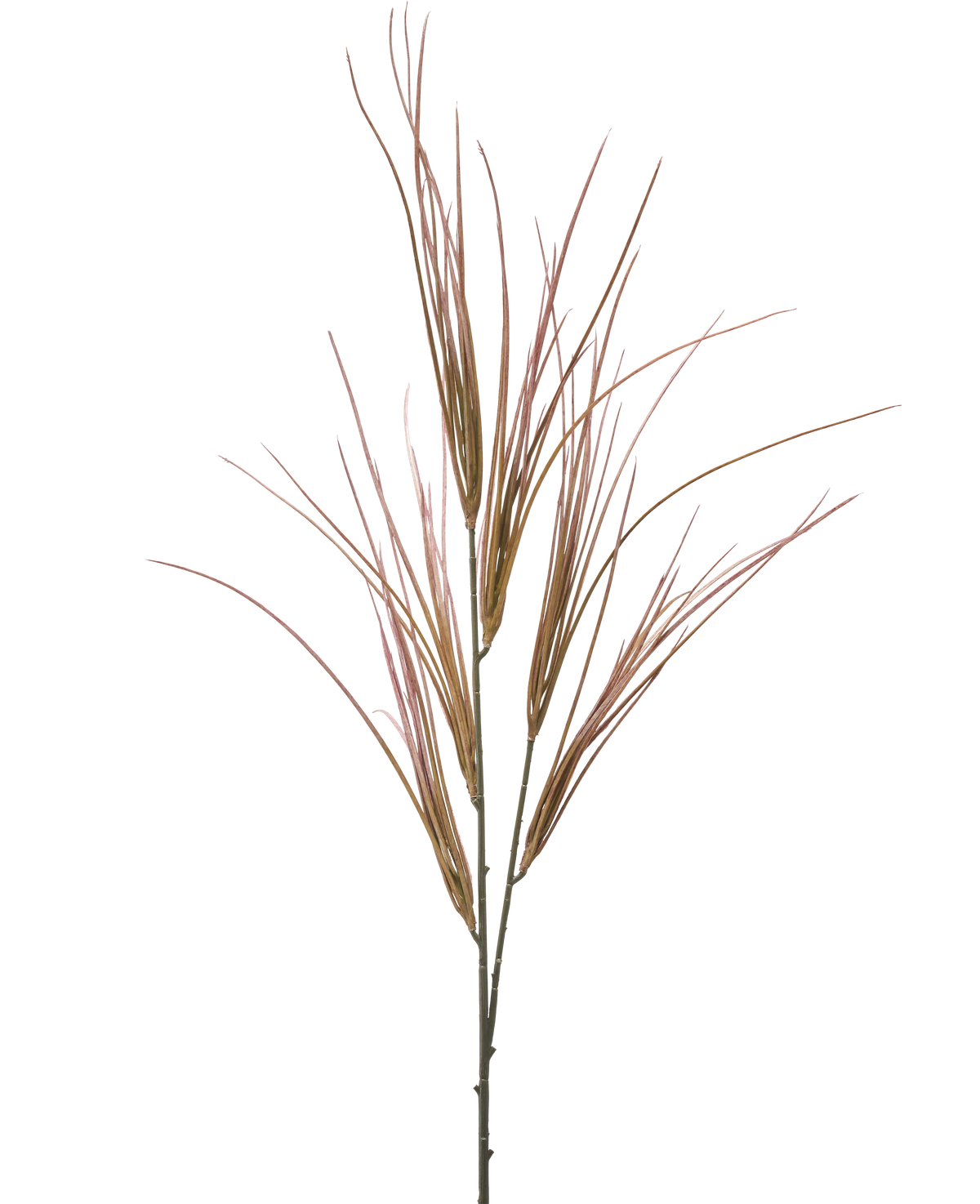 La Rama Artificial 104 cm malva tiene un tallo único y alto con múltiples hojas largas, delgadas, de color malva y verde hierba, que se abren en abanico, aisladas sobre un fondo blanco liso.