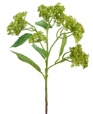 Hortensia artificial de 56 cm de color verde/rojo con un tallo verde con racimos de capullos verdes compactos y hojas alargadas, representada sobre un fondo blanco.