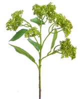 Hortensia artificial de 56 cm de color verde/rojo con un tallo verde con racimos de capullos verdes compactos y hojas alargadas, representada sobre un fondo blanco.