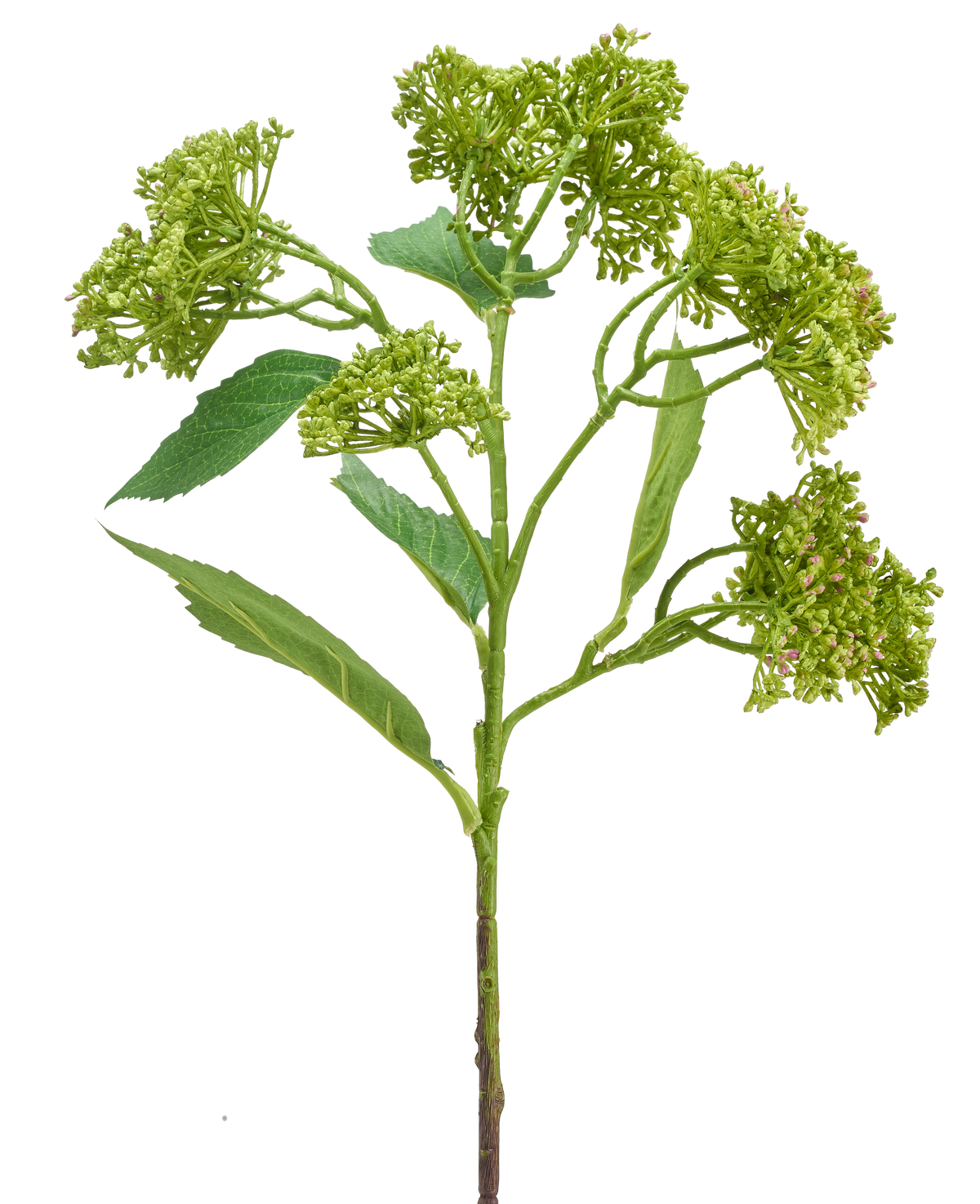 Hortensia artificial de 56 cm de color verde/rojo con un tallo verde con racimos de capullos verdes compactos y hojas alargadas, representada sobre un fondo blanco.