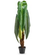 Planta artificial alta Anthurium de 120 cm con hojas grandes de color verde brillante y tallo marrón con estructura, presentada en una pequeña maceta negra sobre fondo blanco.