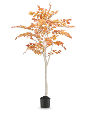 El Abedul artificial "Otoño" 150 cm es un abedul artificial alto con un tronco esbelto de color blanco y hojas otoñales de color amarillo anaranjado, en una pequeña maceta negra sobre un fondo blanco liso.