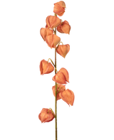 La Planta Linterna de Flores Artificiales de 79 cm de color naranja tiene un solo tallo con múltiples cáscaras de color naranja en forma de linterna, dispuestas verticalmente y que recuerdan al physalis seco, sobre un fondo blanco liso.