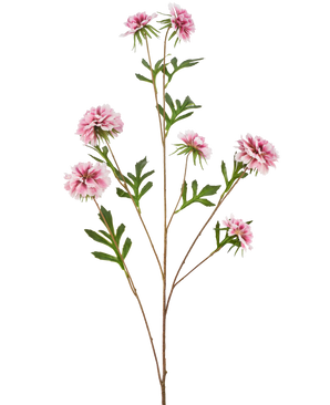 La flor artificial Aciano 112 cm rosa tiene un tallo largo con hojas verdes y varias flores rosadas, esponjosas, parecidas a las dalias, sobre un fondo blanco.