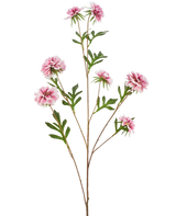 La flor artificial Aciano 112 cm rosa tiene un tallo largo con hojas verdes y varias flores rosadas, esponjosas, parecidas a las dalias, sobre un fondo blanco.