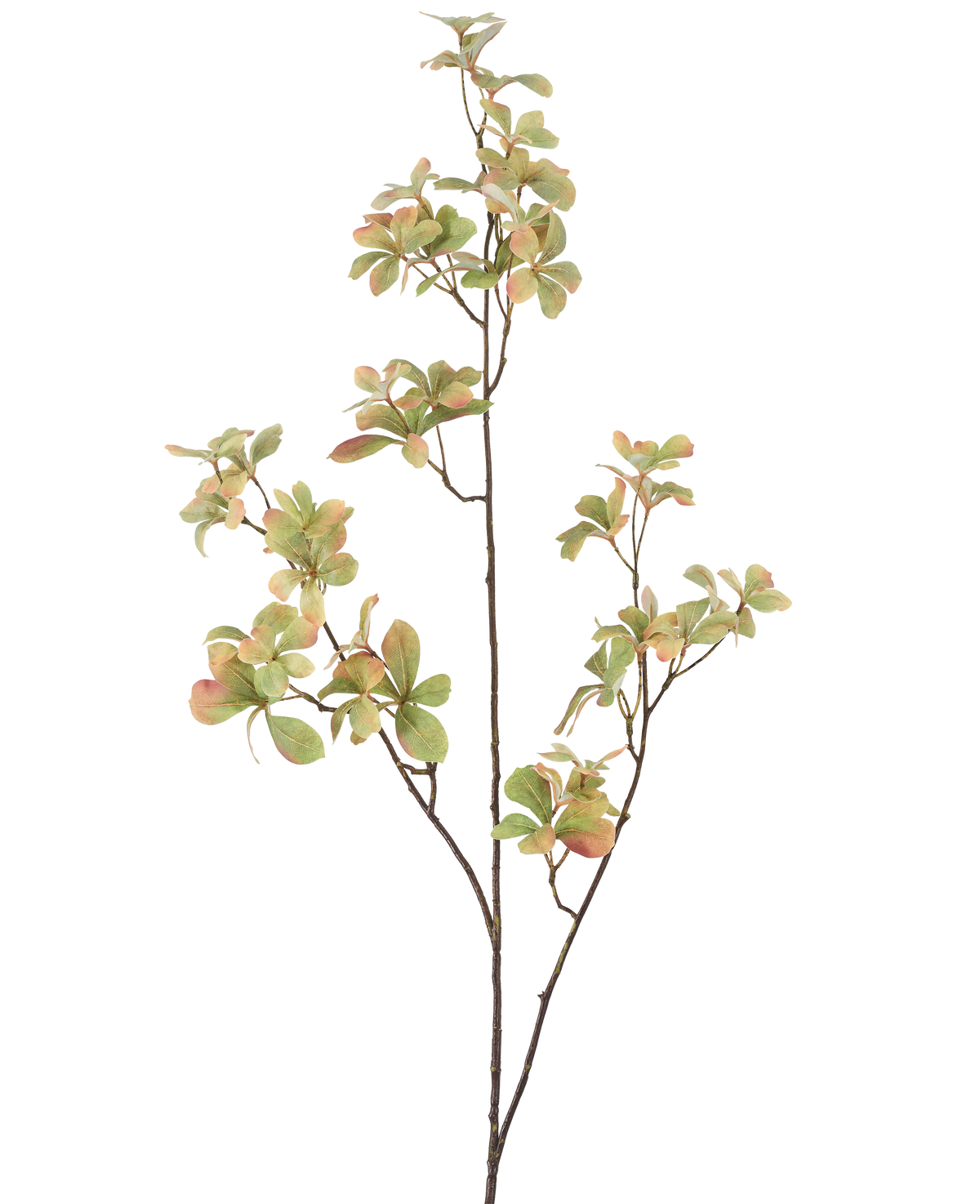 La rama de flor artificial verde de 112 cm tiene un tallo delgado y ramificado con racimos de hojas verdes de color rosa claro y crema, sobre un fondo blanco liso.