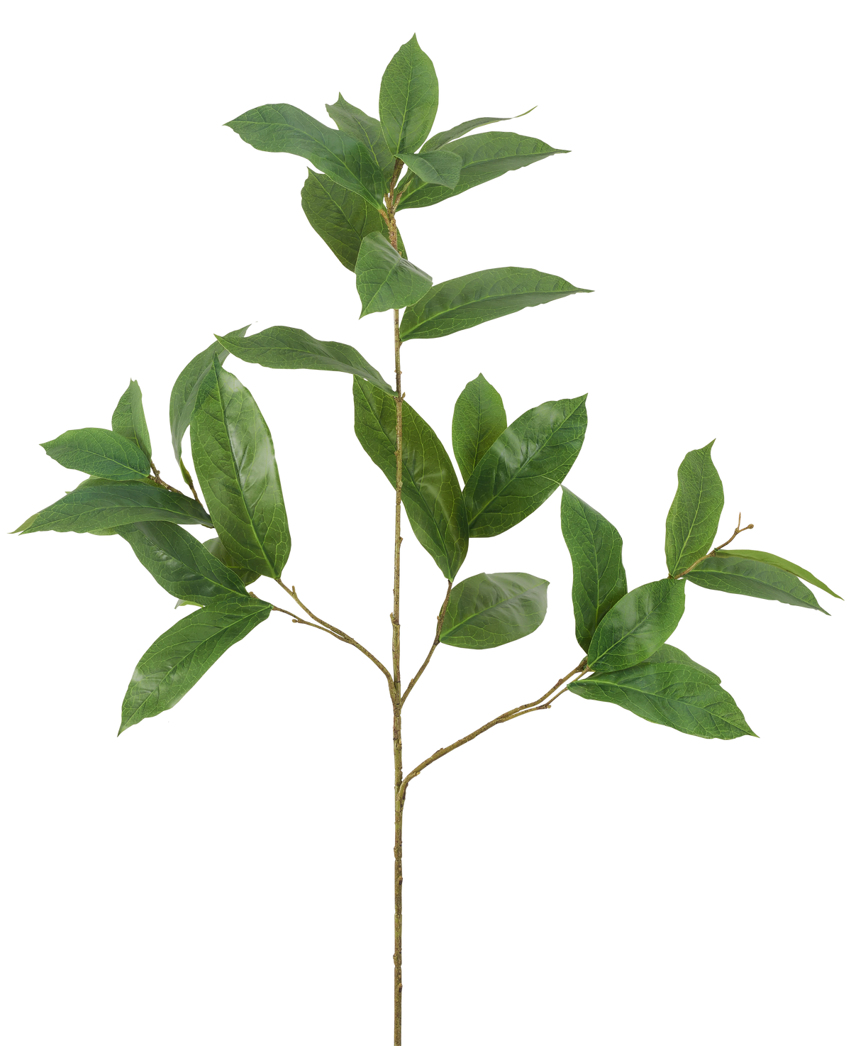 La Rama de Hojas Artificiales de 102 cm verde tiene una única rama delgada con múltiples vástagos, cada uno decorado con varias hojas alargadas de color verde brillante, sobre un fondo blanco liso.