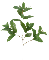 La Rama de Hojas Artificiales de 102 cm verde tiene una única rama delgada con múltiples vástagos, cada uno decorado con varias hojas alargadas de color verde brillante, sobre un fondo blanco liso.