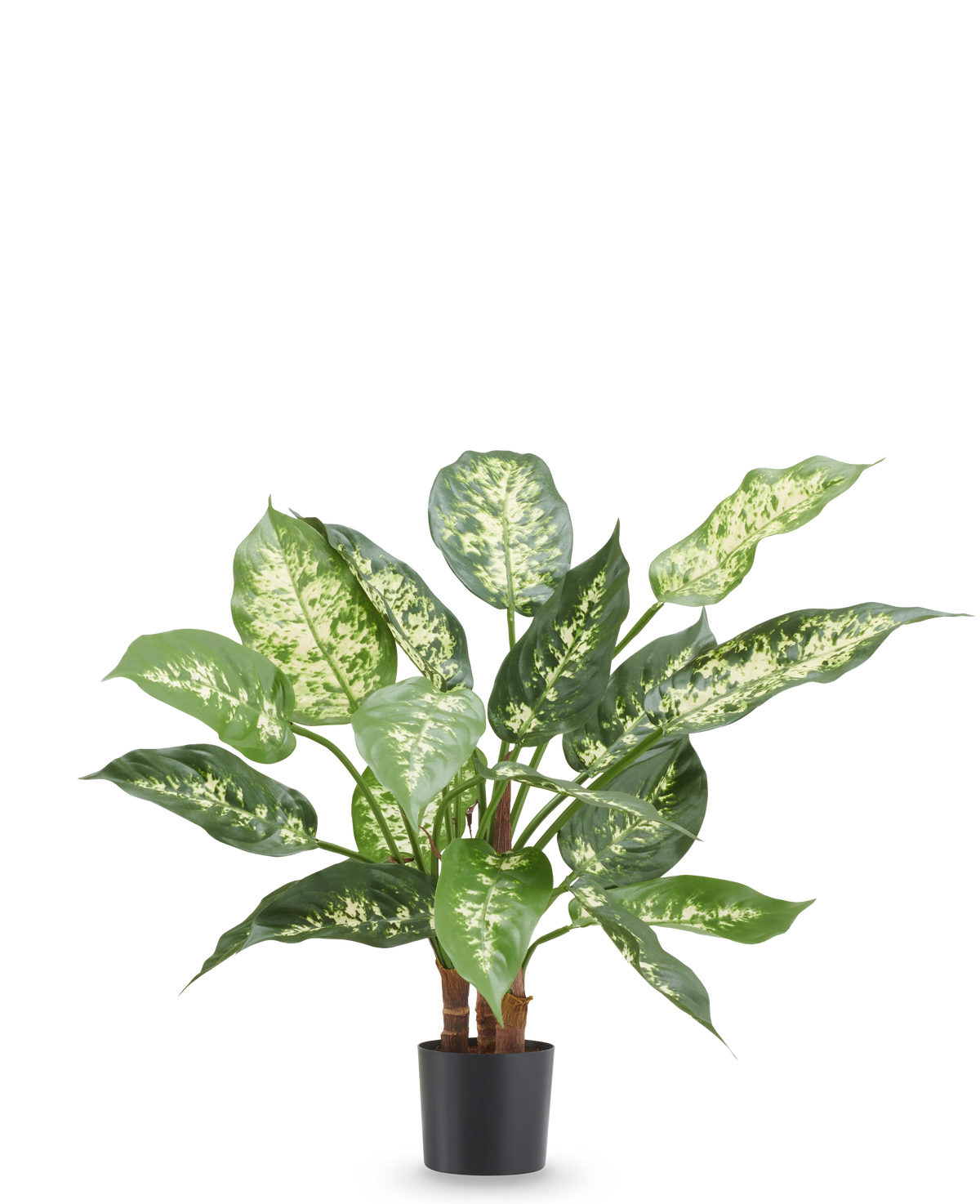 Planta artificial Dieffenbachia 40 cm, planta artificial ignífuga con hojas verdes y blancas brillantes en maceta negra.