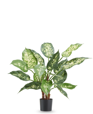 Planta artificial Dieffenbachia 40 cm, planta artificial ignífuga con hojas verdes y blancas brillantes en maceta negra.