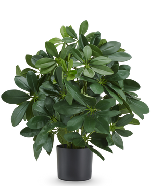 Planta artificial Baby Schefflera de 45 cm, ignífuga, con hojas de color verde brillante en maceta negra.