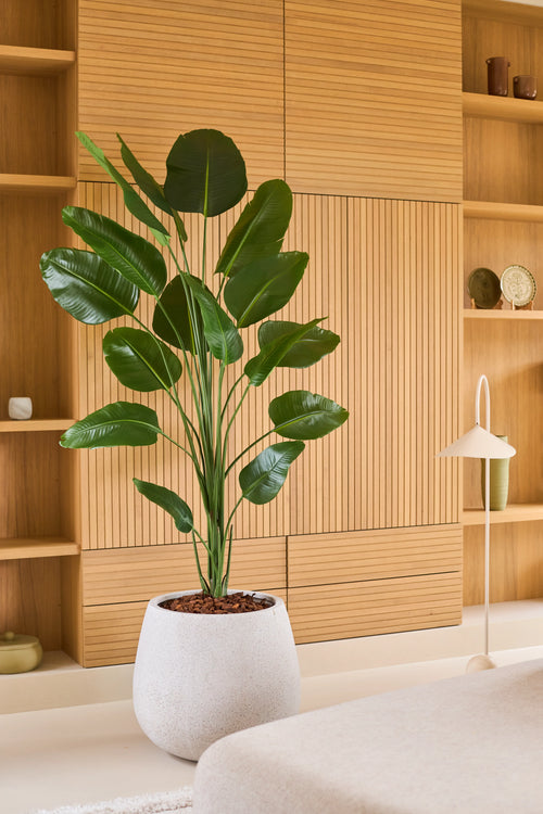 Una planta artificial de Strelitzia de 210 cm de aspecto realista, en una maceta blanca, se alza frente a estanterías y armarios empotrados de madera clara en un espacio habitable moderno y minimalista. Esta elegante planta artificial de fácil cuidado aporta a la habitación un aspecto realista y fácil de cuidar.