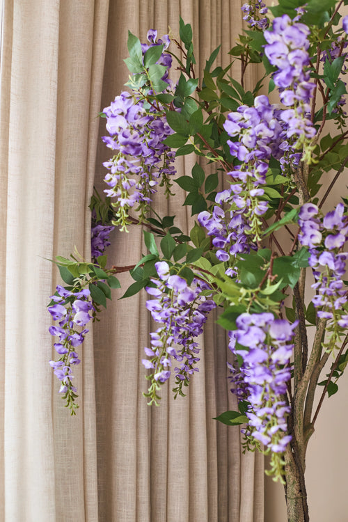 Delante de las cortinas beige cuelga una planta de glicina artificial de 150 cm con hojas verdes.