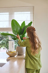 Una mujer con el pelo largo y ondulado, vestida con un traje verde, cuida una planta artificial Strelitzia Real Touch Deluxe de 90 cm en un mostrador junto a un cuenco de limones en una habitación luminosa con una ventana.