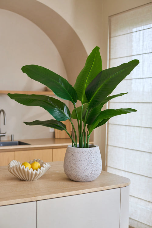 Una planta artificial Strelitzia Real Touch Deluxe de 90 cm, con hojas verdes realistas, se encuentra sobre una encimera de color claro junto a un cuenco decorativo de limones. Al fondo se puede ver un lavabo, estanterías y un gran ventanal con visillos. Esta planta artificial de 90 cm aporta a la estancia un aspecto natural y vivo.