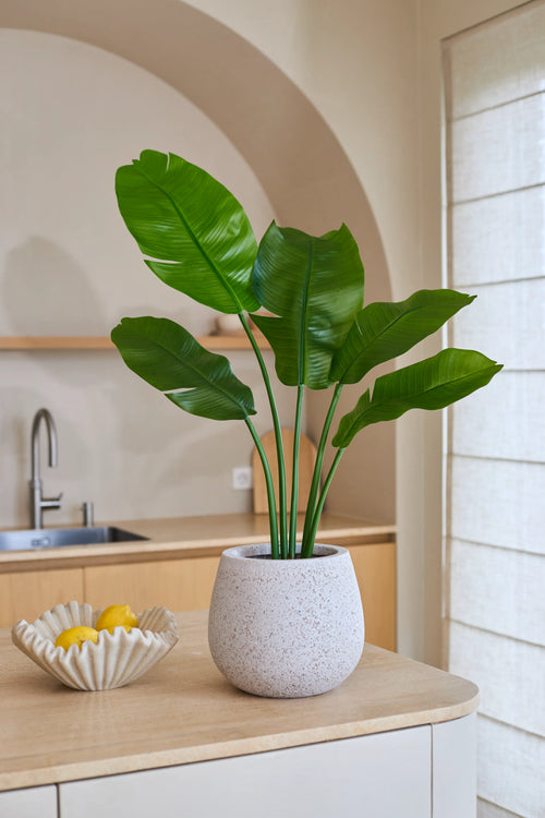 La Planta Artificial Strelitzia Nicolai Deluxe 90 cm con sus grandes hojas verdes se encuentra sobre una encimera de cocina de color claro junto a un cuenco ondulado lleno de limones amarillos, lo que aporta un ambiente tropical a la habitación. Al fondo, un lavabo y una decoración minimalista completan el cuadro.