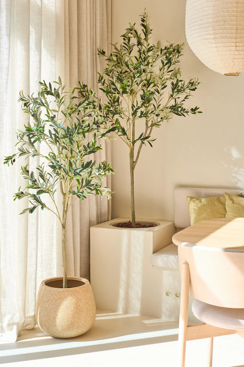 Dos olivos en macetas, incluido el elegante Olivo Artificial de 150 cm, se encuentran cerca de una ventana con cortinas translúcidas. La luz del sol entra a raudales e ilumina una habitación moderna con una mesa redonda, una silla de madera clara y suaves cojines verdes.
