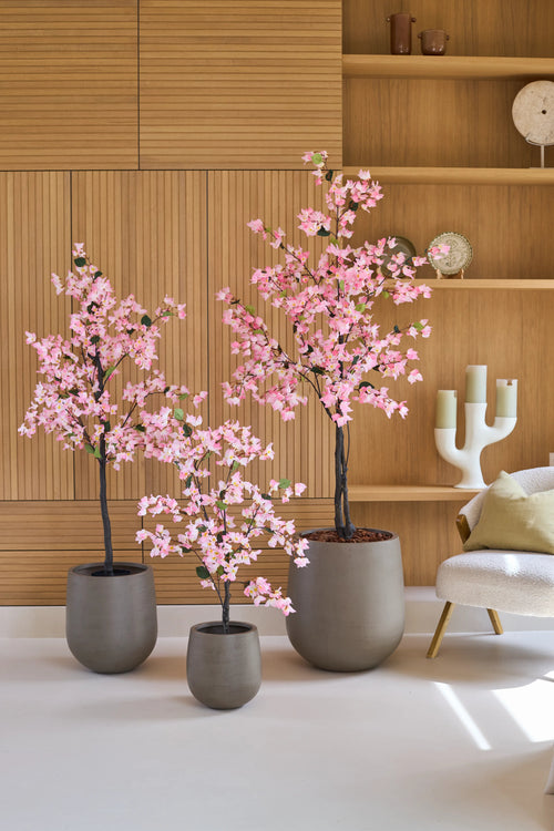 Tres buganvillas artificiales de 180 cm, de color rosa y con flores rosas, se encuentran frente a estantes de madera en la pared, junto a una moderna silla blanca con un cojín.