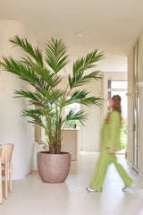 Una planta artificial, una palmera Kentia de 270 cm, se encuentra en un luminoso vestíbulo mientras alguien con un traje verde pasa; el movimiento hace que esta persona parezca un poco borrosa.