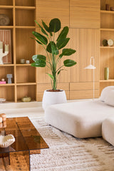 Un salón moderno con un sofá beige claro, una planta Strelitzia artificial de 210 cm de apariencia realista que aporta un acento verde vibrante, una gran mesa de centro de cristal marrón y estantes empotrados de madera decorados con objetos decorativos y cerámica. Esta Planta Artificial Strelitzia de fácil cuidado aporta belleza natural a la estancia sin necesidad de mantenimiento.
