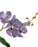 Un primer plano de la orquídea violeta artificial Ascocenda de 50 cm muestra pétalos violetas con motas blancas, múltiples flores y cogollos verdes en un tallo delgado sobre un fondo blanco.