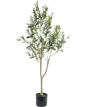 El Olivo Artificial 120 cm presenta esbeltas ramas y hojas verdes en una sencilla maceta negra, ideal como elemento decorativo para un ambiente mediterráneo sobre fondo blanco.