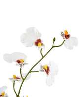 Un primer plano del Oncidium artificial Real Touch 48 cm blanco muestra las delicadas flores de orquídeas blancas con centros amarillos y marrones sobre un fondo blanco liso.