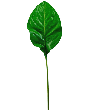 La Hoja Verde Artificial de 90 cm es una única hoja artificial de color verde brillante con venas prominentes y un tallo largo y delgado, representada aislada sobre un fondo blanco.