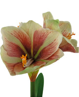 Un primer plano de la flor artificial Amaryllis Real Touch rojo/amarillo de 48 cm muestra los vibrantes pétalos rojos y amarillos, la textura realista y las hojas verdes sobre un fondo blanco.