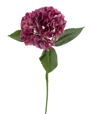 La Flor Artificial Charlotte Hydrangea Real Touch violeta 55 cm tiene un único tallo de hortensia violeta con varios pétalos pequeños y hojas verdes, sobre un fondo blanco liso.