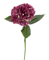 La Flor Artificial Charlotte Hydrangea Real Touch violeta 55 cm tiene un único tallo de hortensia violeta con varios pétalos pequeños y hojas verdes, sobre un fondo blanco liso.