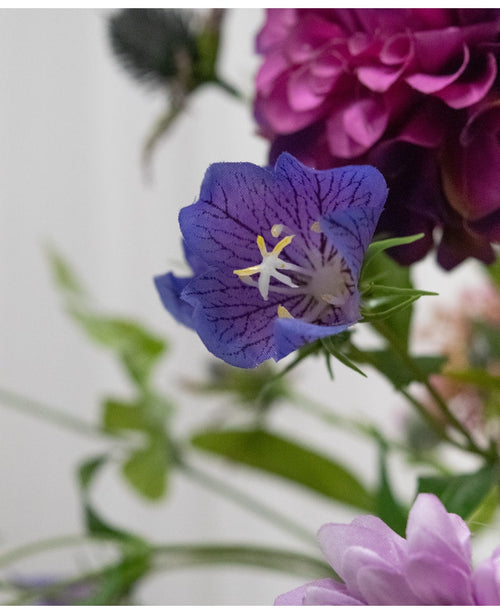 Un primer plano de la Flor Artificial Harebell de 62 cm violeta, una delicada flor artificial violeta con venas profundas y estambres amarillos, entre hojas verdes y flores suaves de color rosa pálido y violeta al fondo.
