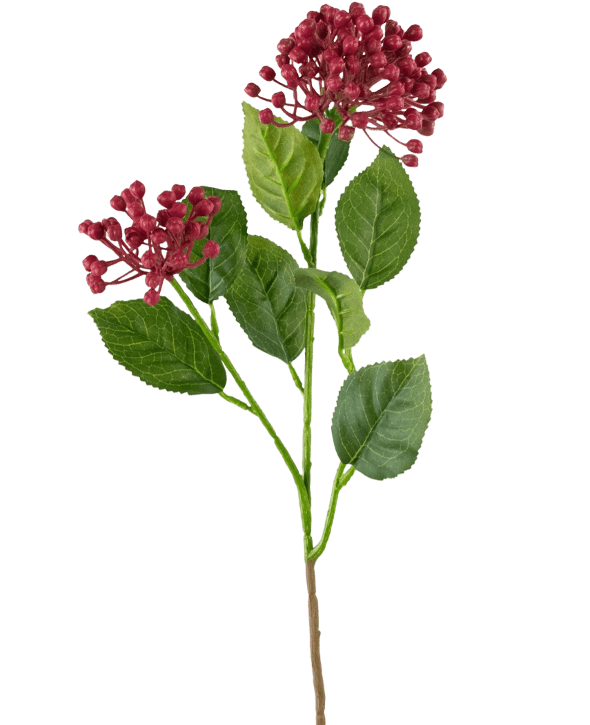 Una única flor de hortensia artificial de 55 cm de tallo rosa oscuro con hojas verdes y dos racimos de pequeños cogollos redondos de color rosa intenso sobre un fondo blanco liso.