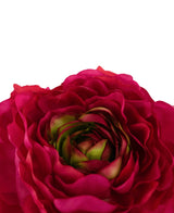 Primer plano de la flor artificial Ranunculus de 51 cm de color rosa oscuro, con vibrantes pétalos artificiales de color rosa intenso y detalles centrales verdes, sobre un fondo blanco liso.