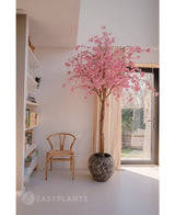 El árbol de cerezo artificial rosa de 240 cm con flores rosas se encuentra cerca de una ventana en una habitación moderna y luminosa. Cerca hay una silla de madera, con estanterías a la izquierda y la luz del sol entrando a través de las cortinas transparentes.