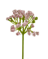 Un primer plano del bonsái de hierba artificial, flor de puerro, hierba de cebolla, 61 cm, retardante de fuego: un solo tallo verde con racimos de pequeñas flores artificiales de color rosa claro en grupos en forma de paraguas, sobre un fondo blanco.