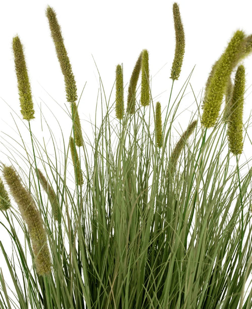 La maceta de césped artificial con retardante de fuego de 150 cm presenta césped artificial verde alto con hojas largas y estrechas y cabezas de semillas cilíndricas y esponjosas, representadas sobre un fondo blanco.