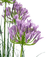 La maceta de hierba de cebolla Agapanthus artificial de 90 cm retardante de fuego tiene un ramo de flores artificiales de Agapanthus de color púrpura con tallos verdes delgados y hojas delgadas sobre un fondo blanco.