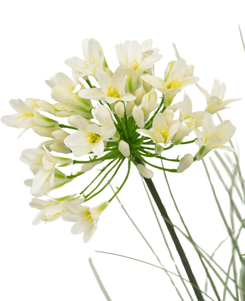Un primer plano de la maceta de césped artificial Agapanthus blanco de 90 cm con retardante de fuego muestra delicadas flores blancas con un centro amarillo sobre largos tallos verdes, rodeadas de hojas tenues, sobre un fondo blanco liso.