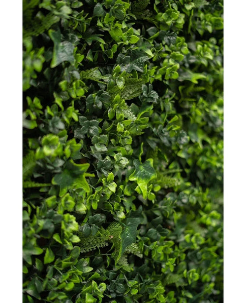 Primer plano de un denso follaje verde con pequeñas plantas frondosas y enredaderas, con la exuberante mezcla de esteras de Seto Artificial de 50x50 cm, perfecta para crear una vibrante pared verde vertical.