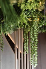 El seto artificial Lush Deco Deluxe 100x100 cm UV crea una imagen de techo exuberante y natural con follaje verde colgando sobre listones de madera verticales, suavemente iluminados desde el fondo.