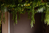 El seto artificial Lush Deco Deluxe 100x100 cm UV añade un exuberante dosel verde al techo y aporta un follaje vibrante a un espacio interior oscuro con paredes de color marrón liso.