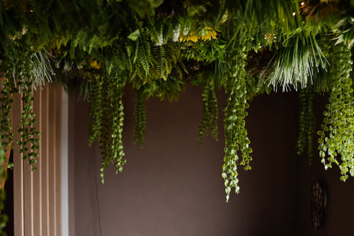 El seto artificial Lush Deco Deluxe 100x100 cm UV añade un exuberante dosel verde al techo y aporta un follaje vibrante a un espacio interior oscuro con paredes de color marrón liso.