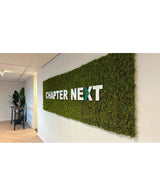Un acento interior de lujo: un expositor de pared verde con marcos UV Kunsthaag Nordic Moss de 50x50 cm, con "CAPÍTULO SIGUIENTE" en letras 3D en negrita. Una mesa decorada con plantas completa el refinado escenario.