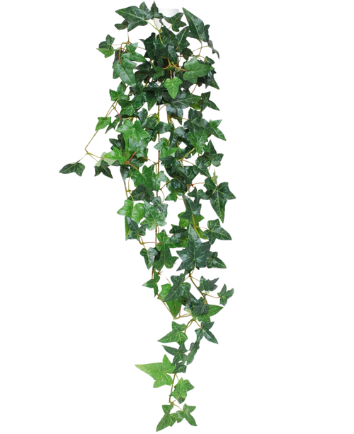 La planta colgante artificial Ivy Boston 100 cm verde tiene hojas puntiagudas de hiedra verdes sobre finos tallos que caen sobre un fondo blanco.