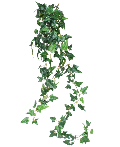 La planta colgante artificial Ivy Boston es una planta trepadora de color verde de 120 cm de largo con hojas de hiedra brillantes, perfecta para añadir vegetación sobre un fondo blanco.